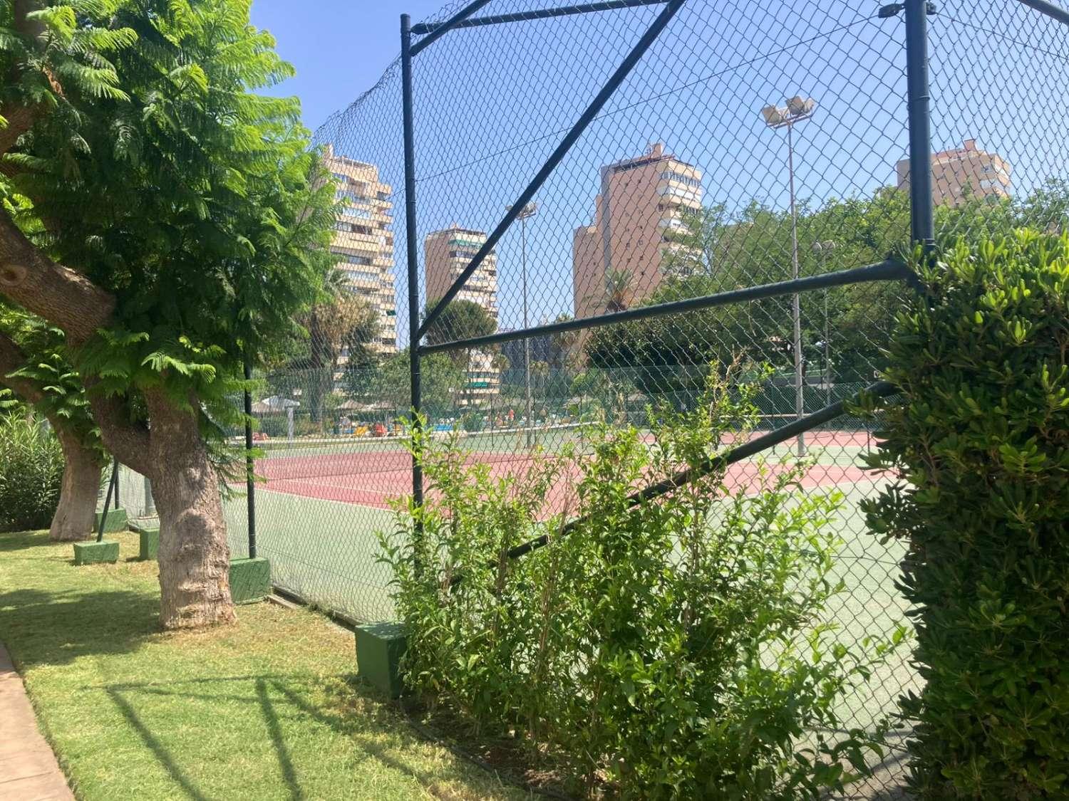 Apartamento en Alquiler en Torremolinos