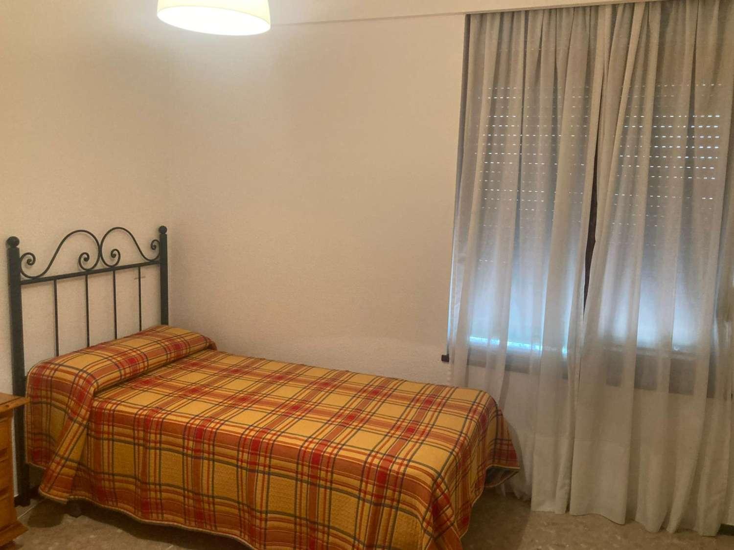 Apartamento en Alquiler en Torremolinos