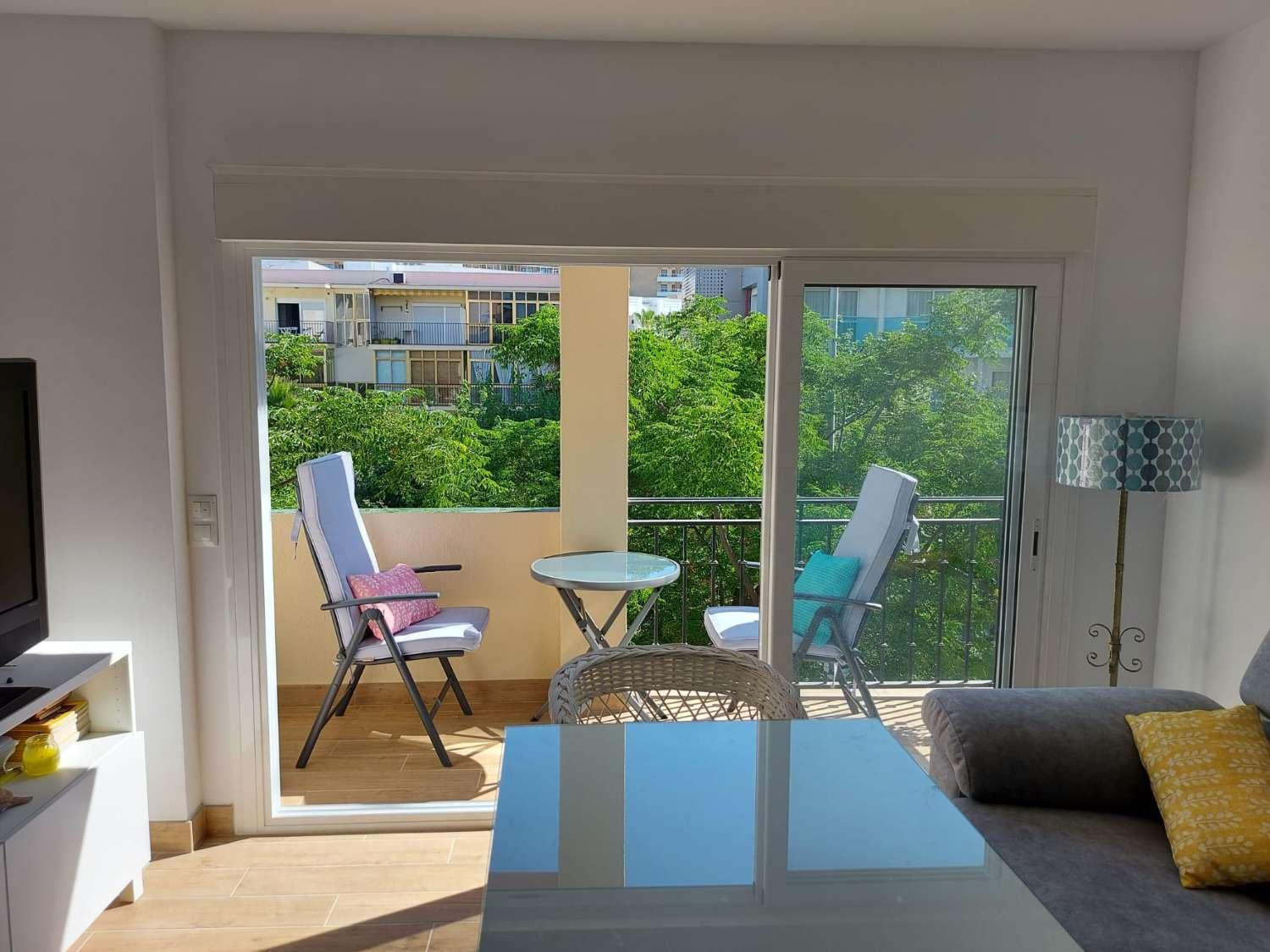Penthouse for Rent in Torremolinos