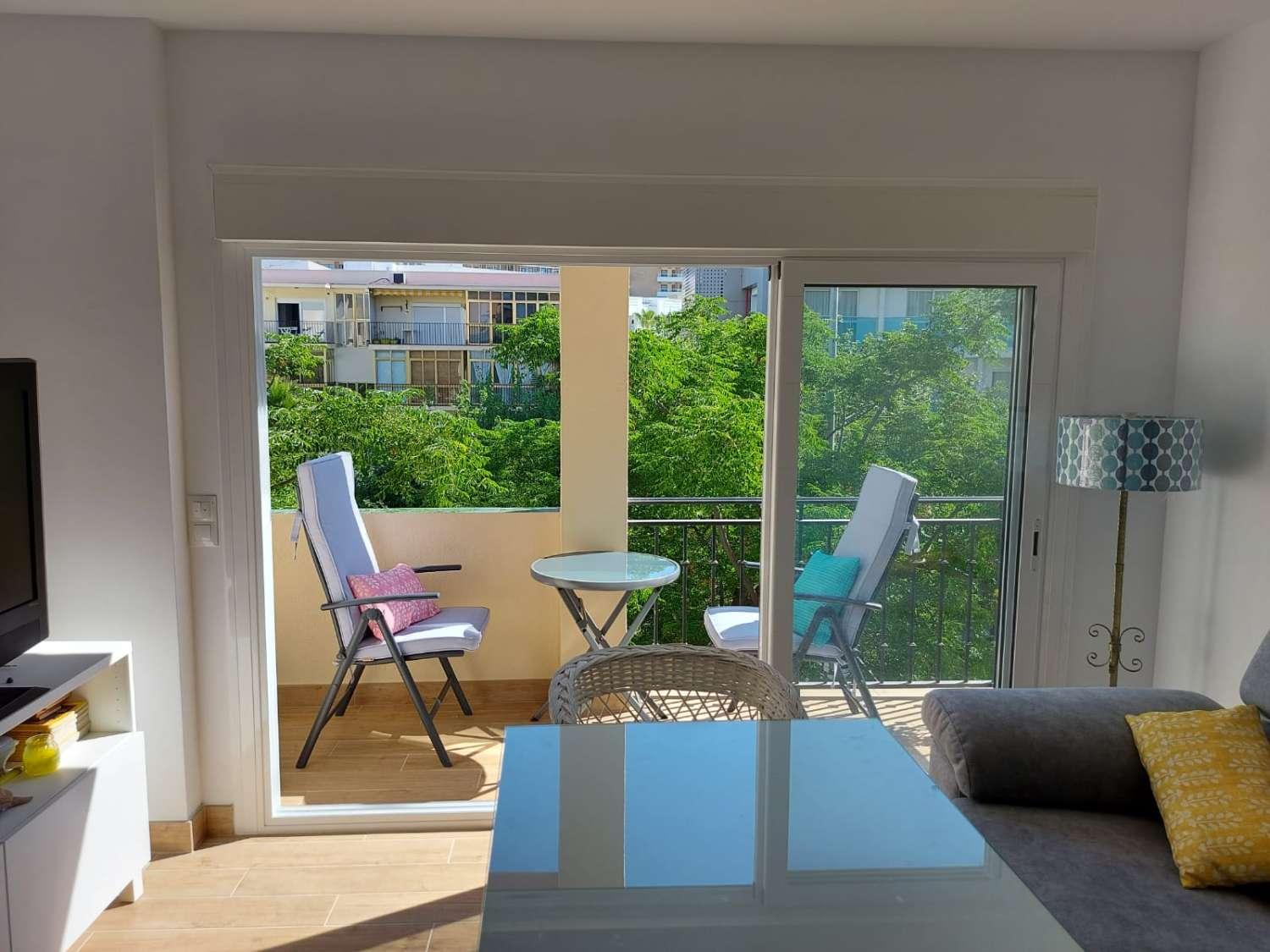 Penthouse for Rent in Torremolinos