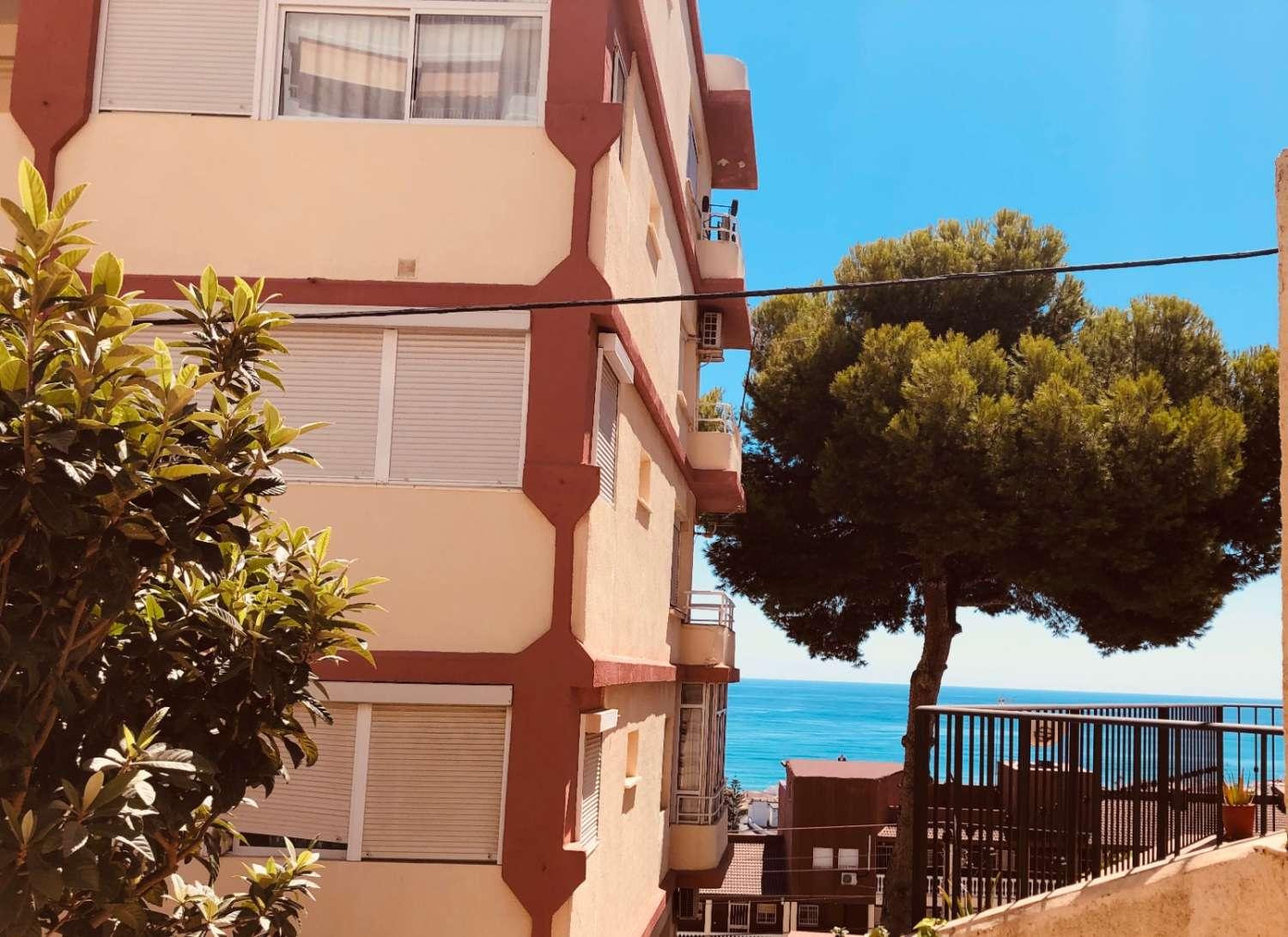 Studio for Rent in Torremolinos
