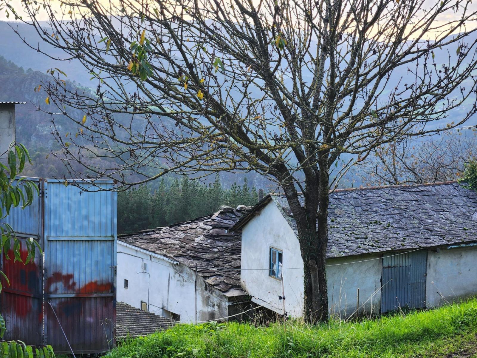 Casa Rural en Venta en Navia