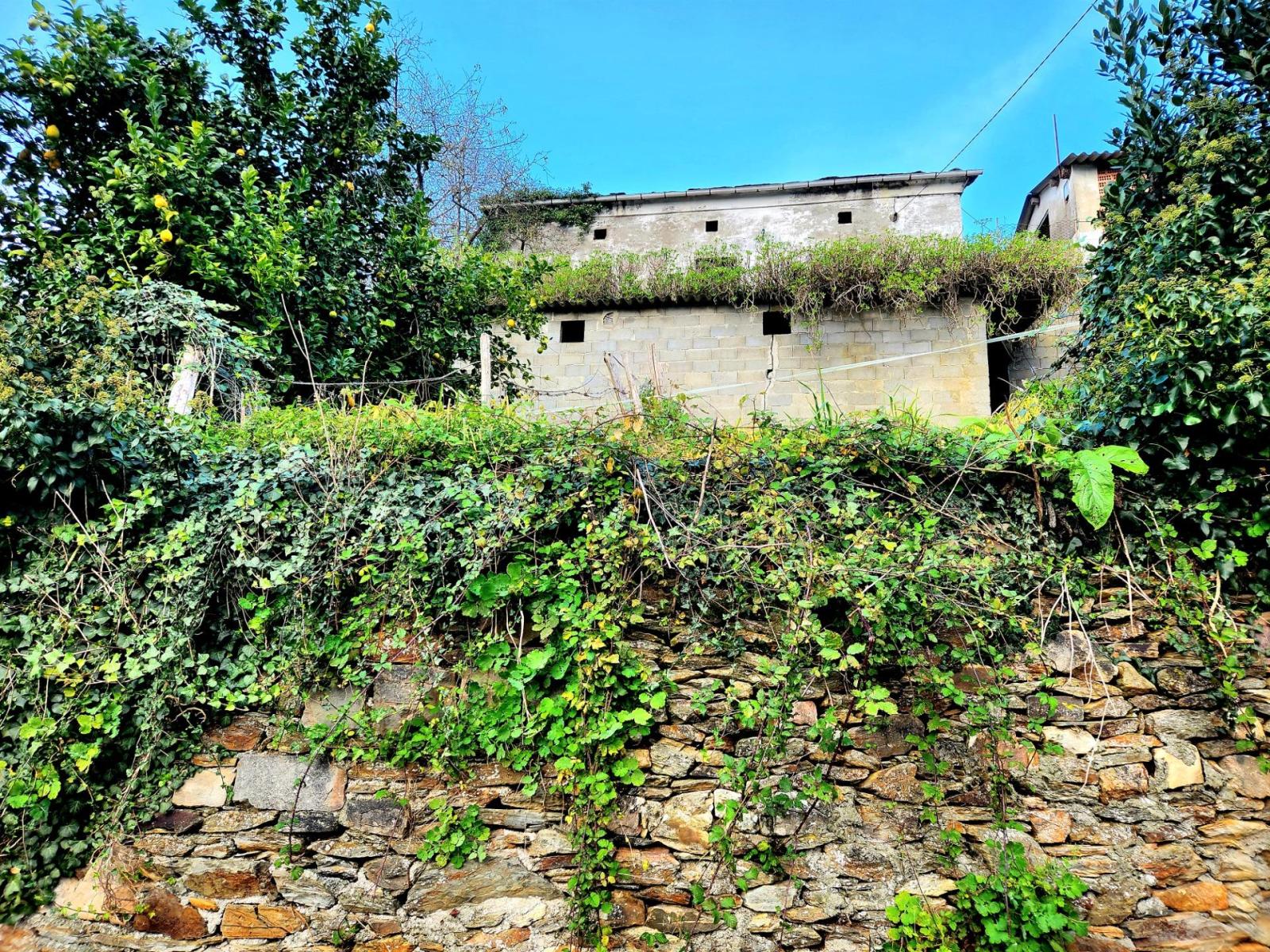 Casa Rural en Venta en Navia