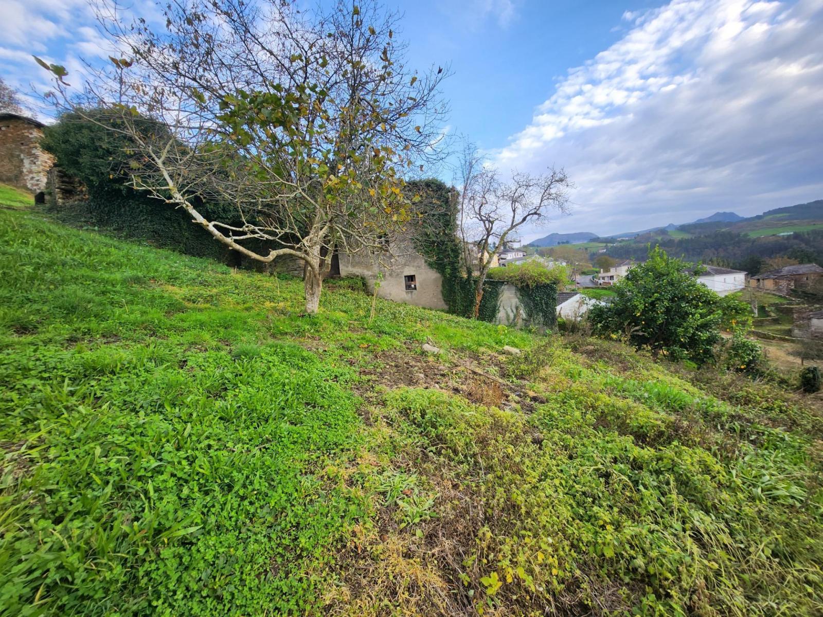 Casa Rural en Venta en Navia