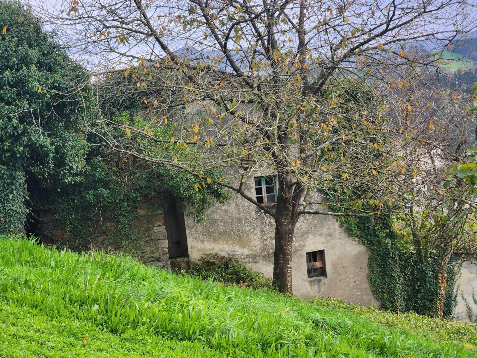 Casa Rural en Venta en Navia