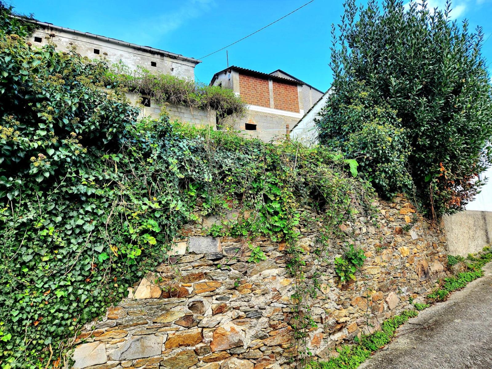 Casa Rural en Venta en Navia