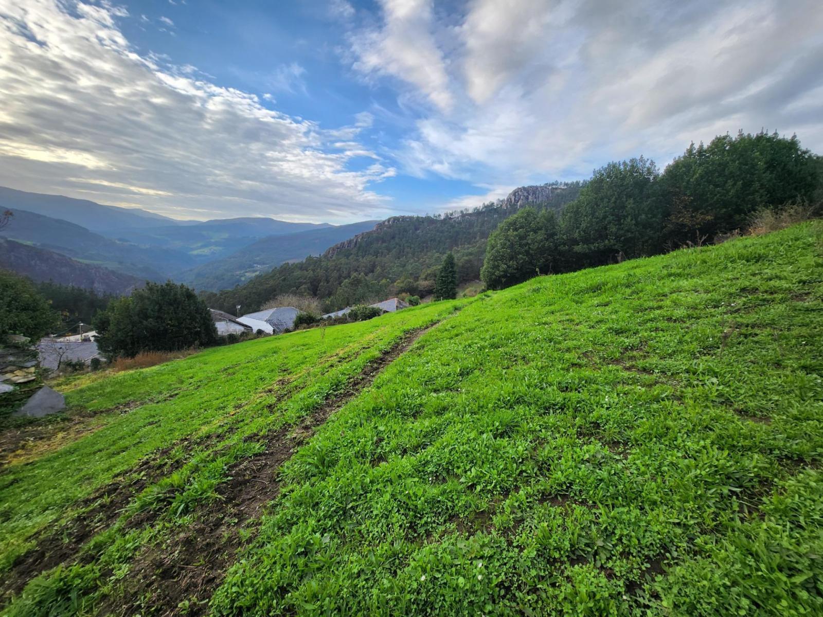 Casa Rural en Venta en Navia