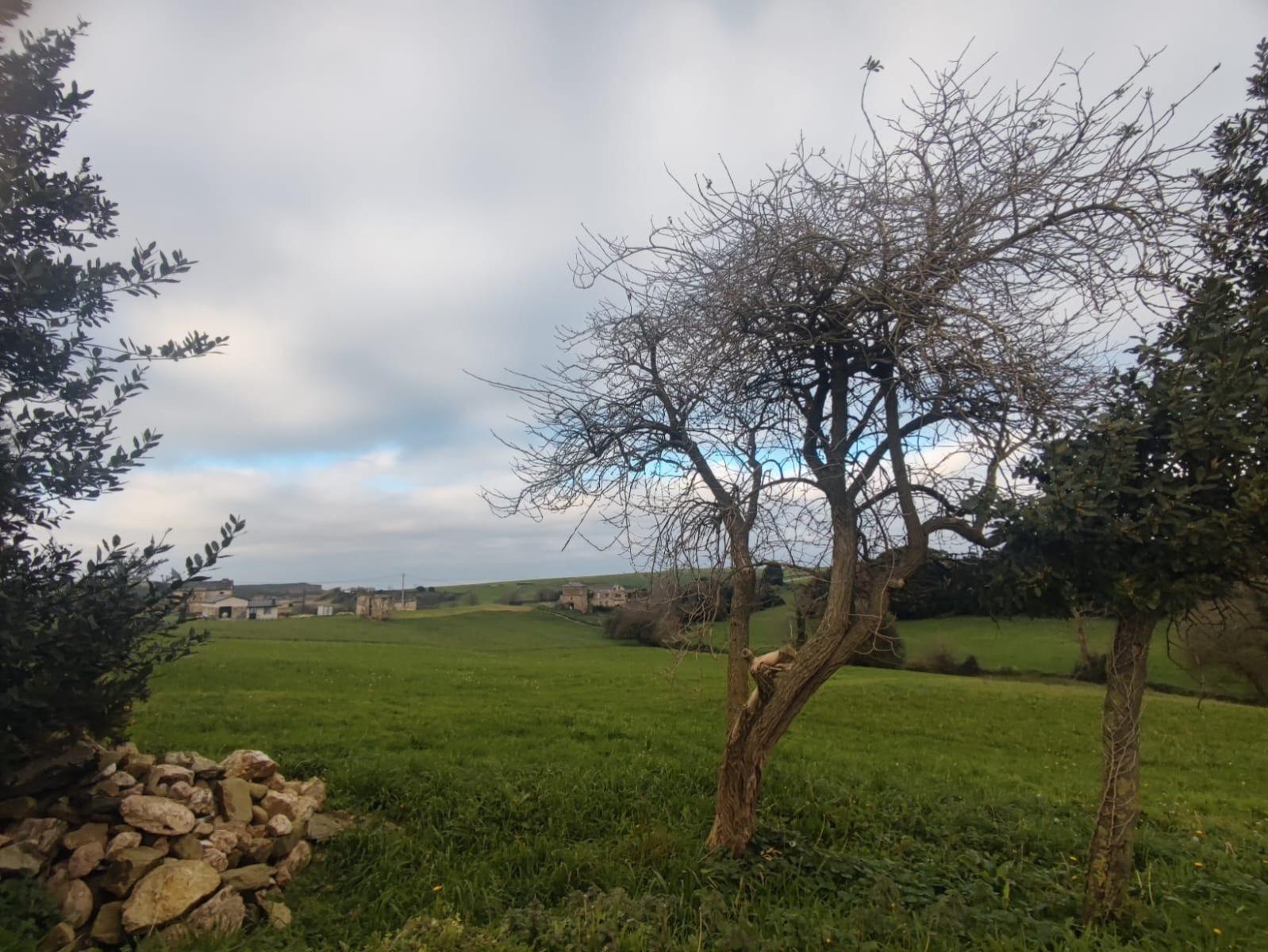 Parcela en Venta en Tapia de Casariego