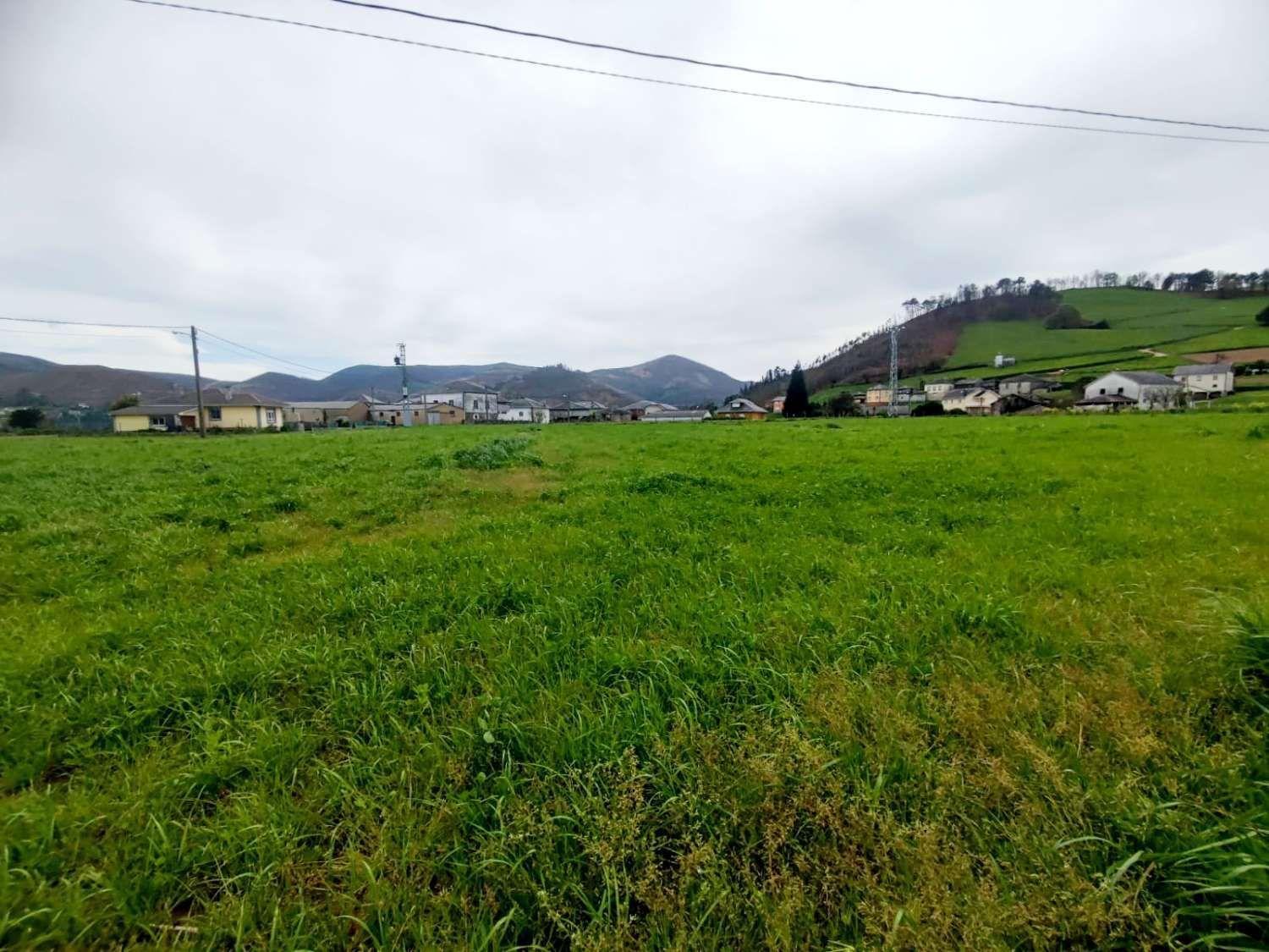 Parcela en Venta en Luarca