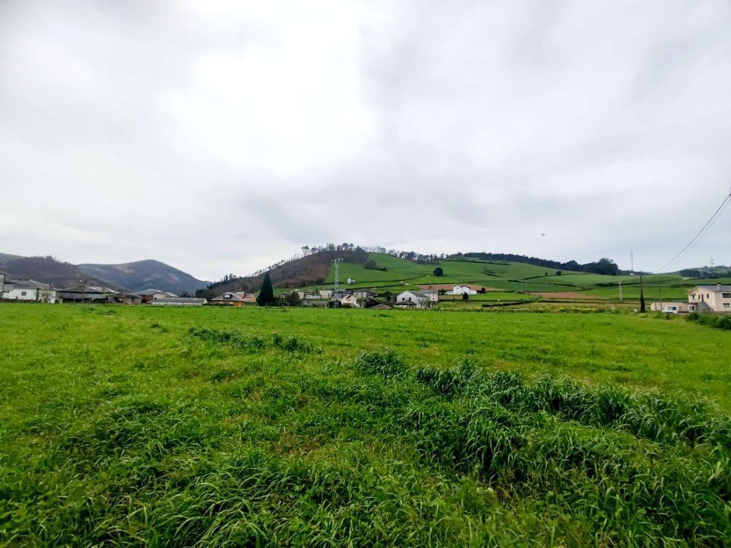 Parcela en Venta en Luarca