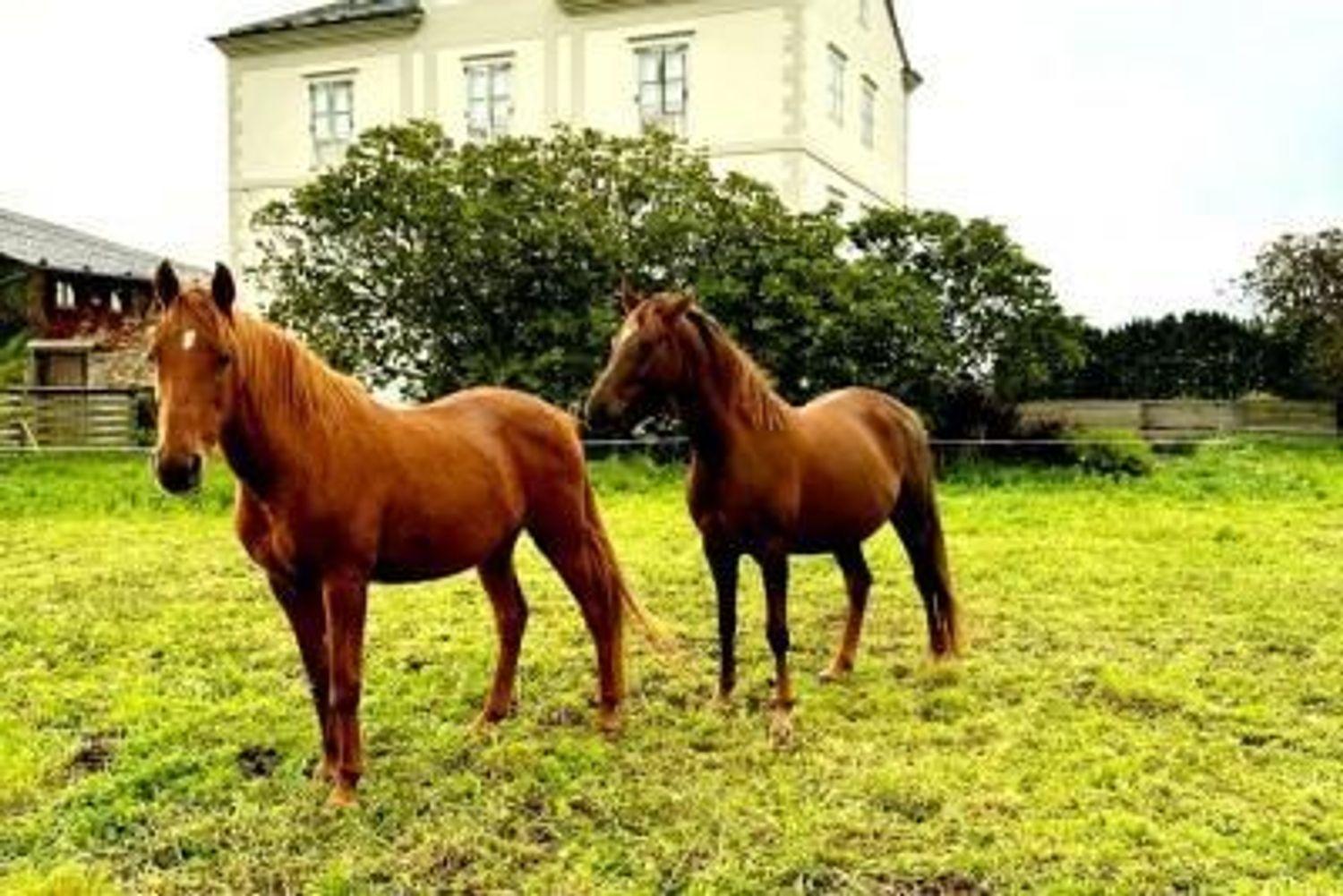 Casa Rural en Venta en Tapia de Casariego