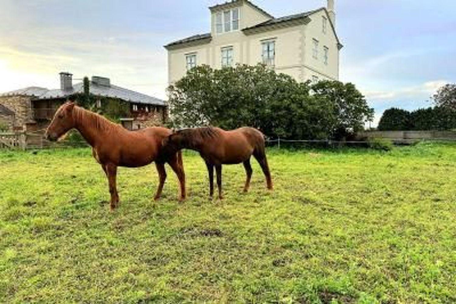 Casa Rural en Venta en Tapia de Casariego