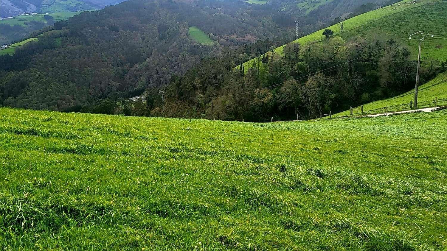 Parcela en Venta en Luarca