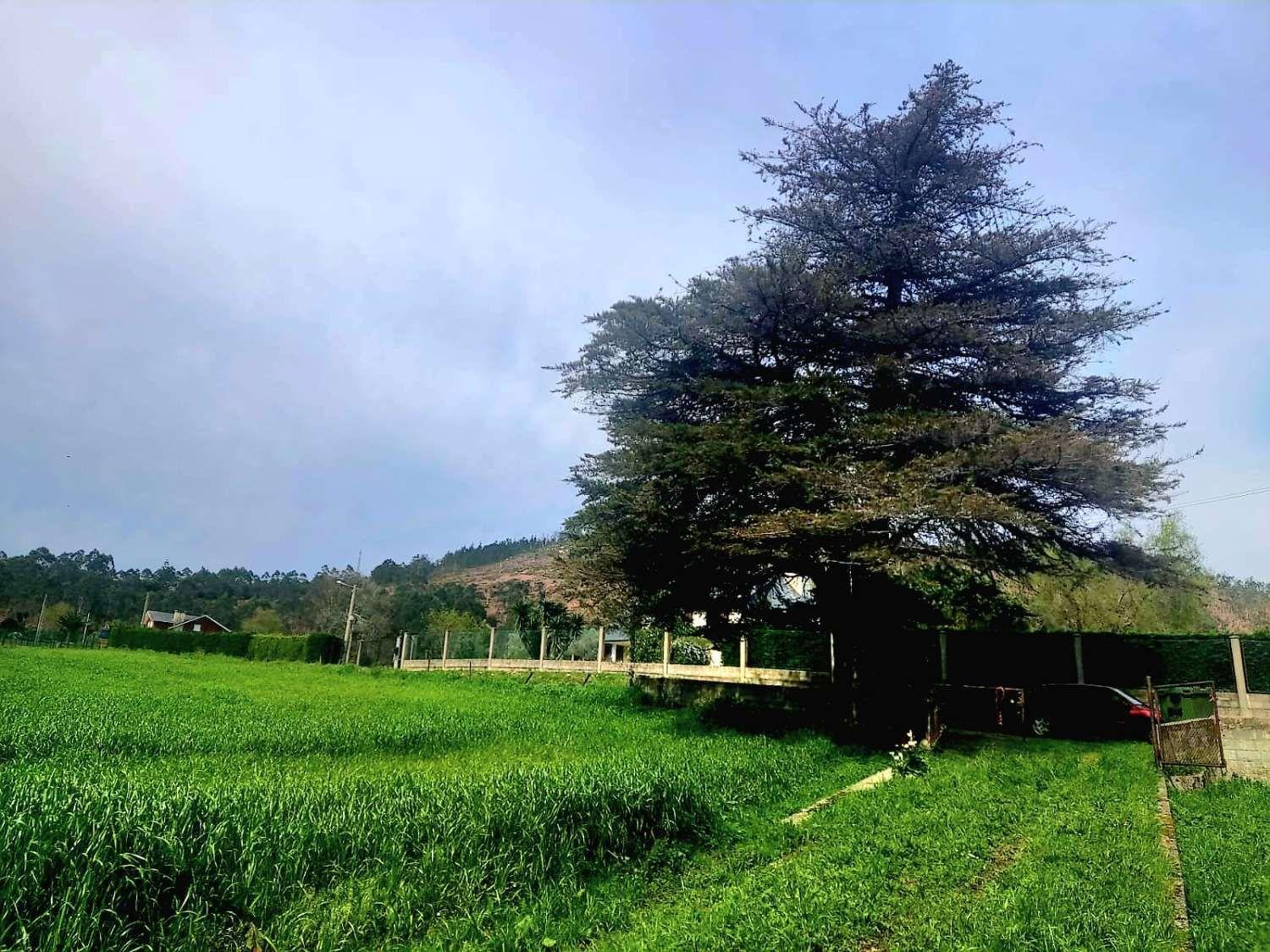 Parcela en Venta en Luarca