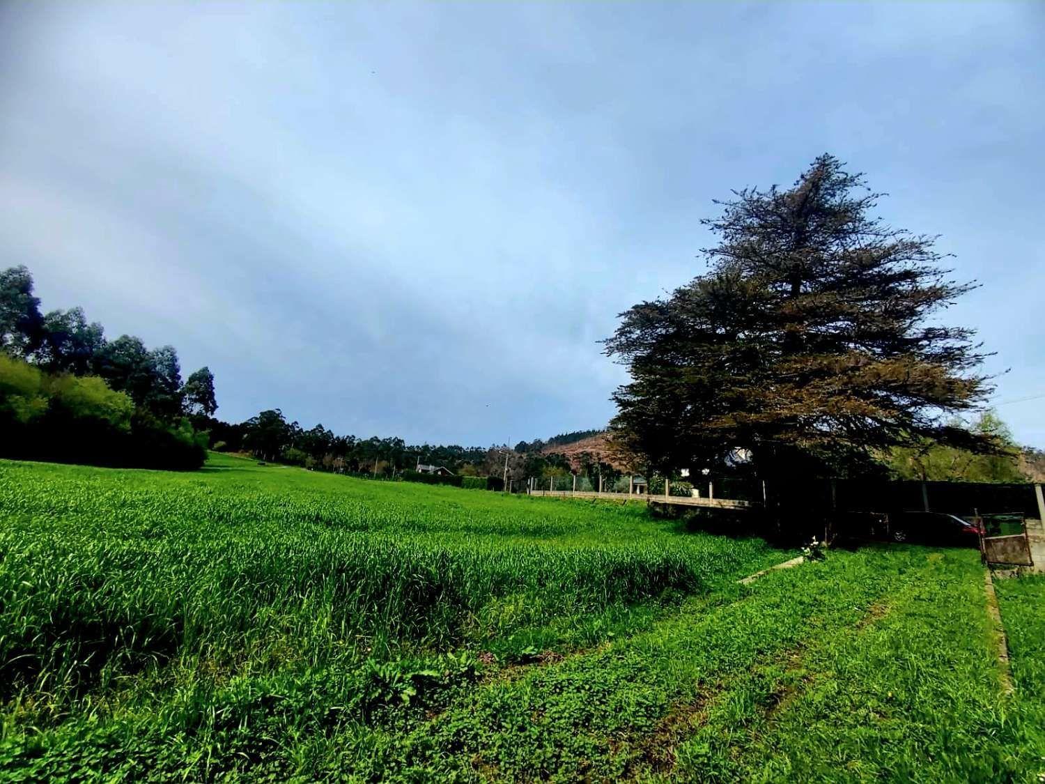 Parcela en Venta en Luarca