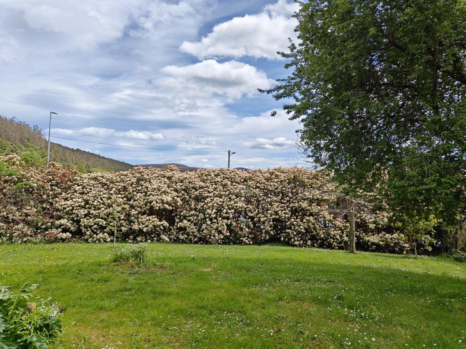 Chalet for Sale in Trabada