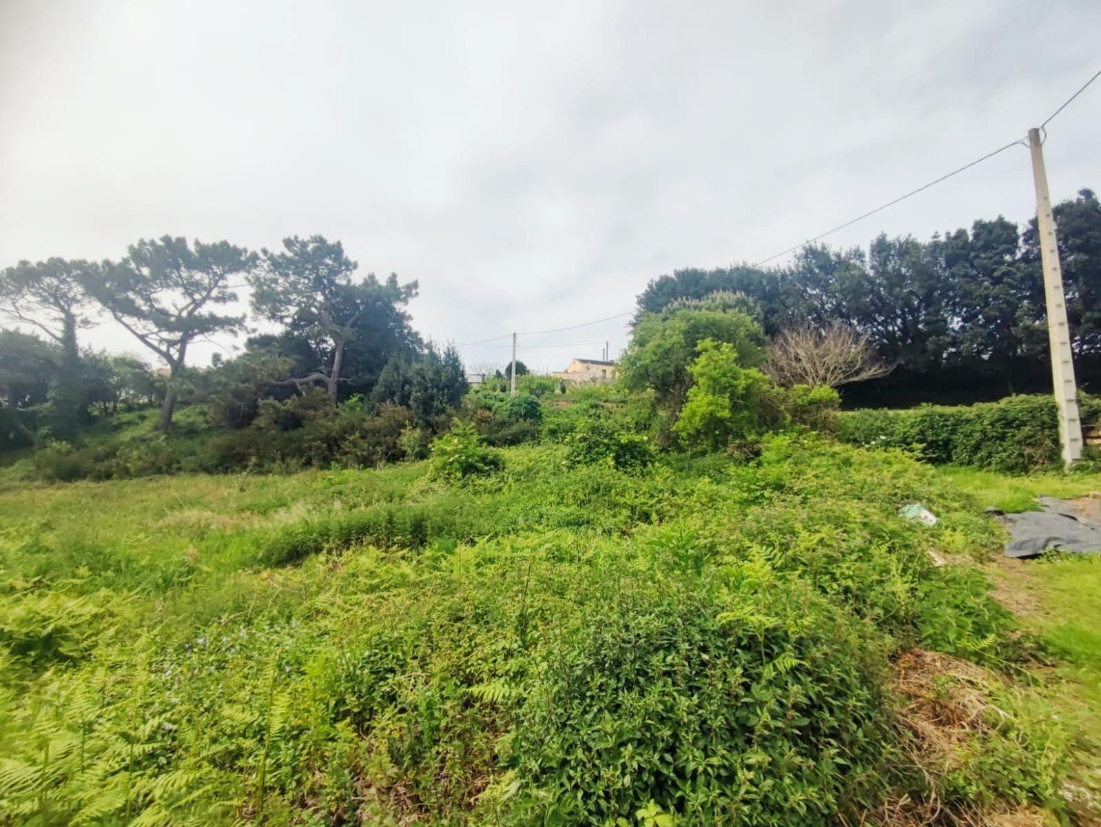 Parcela en Venta en Tapia de Casariego