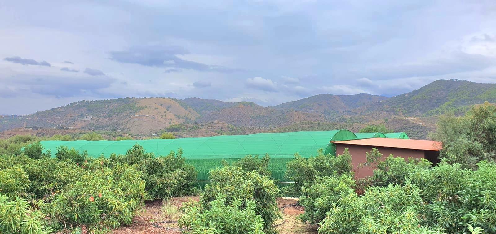 Casa Rural en Venta en Monda