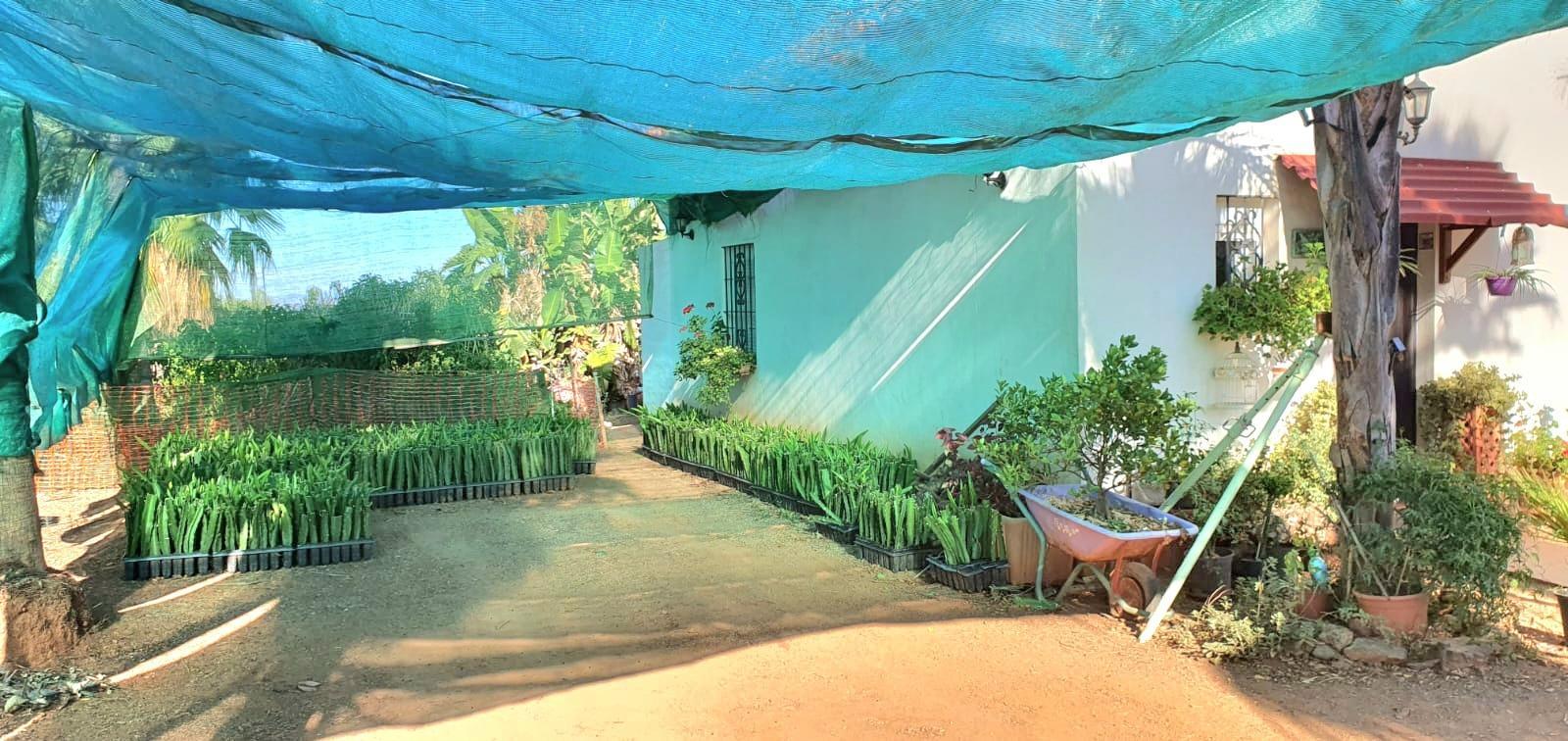 Casa Rural en Venta en Monda