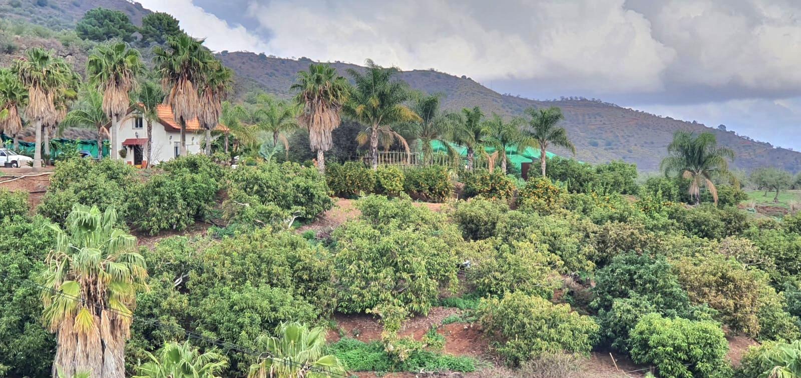Casa Rural en Venta en Monda