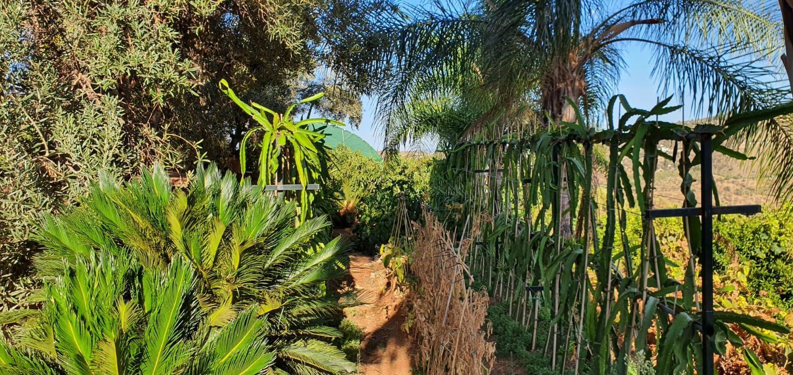 Casa Rural en Venta en Monda
