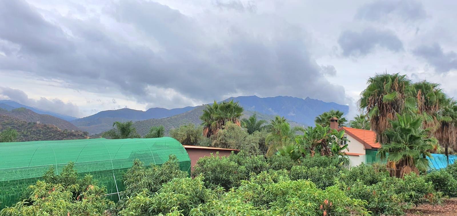 Casa Rural en Venta en Monda