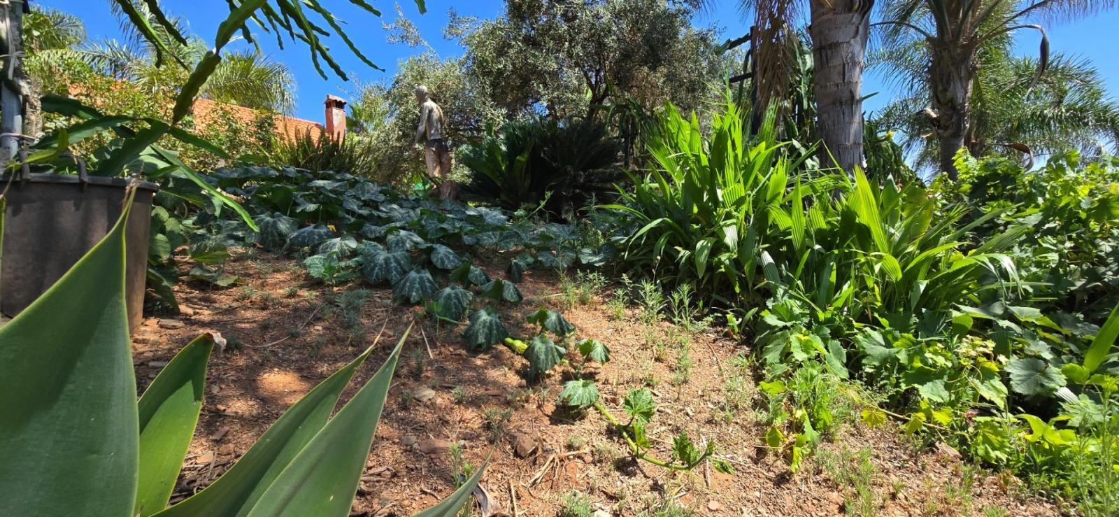 Casa Rural en Venta en Monda