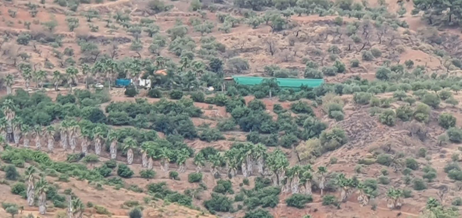 Casa Rural en Venta en Monda