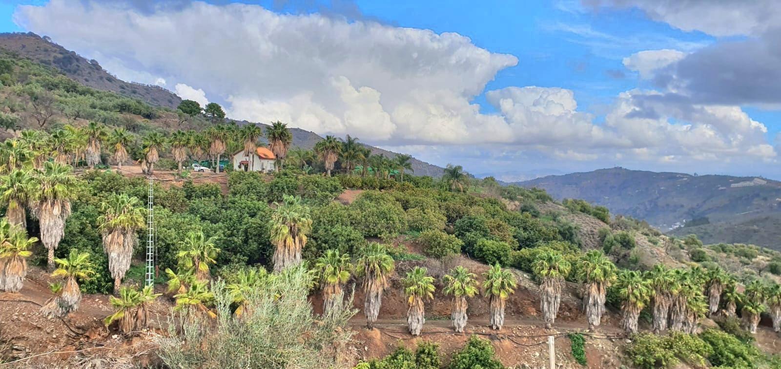 Casa Rural en Venta en Monda