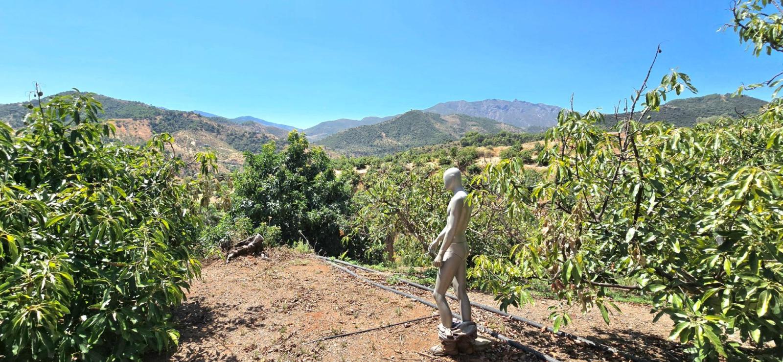 Casa Rural en Venta en Monda