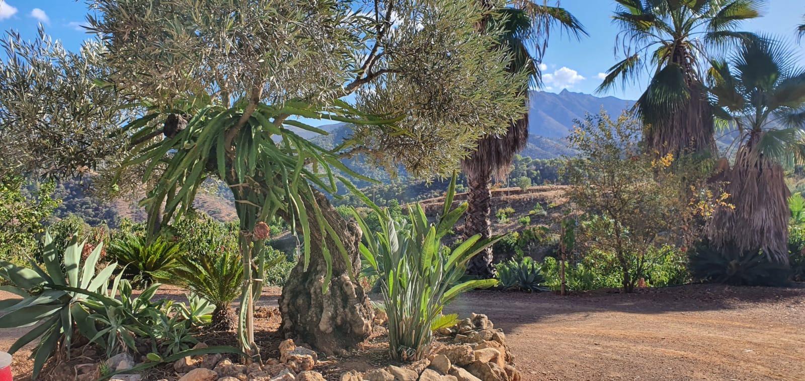 Casa Rural en Venta en Monda