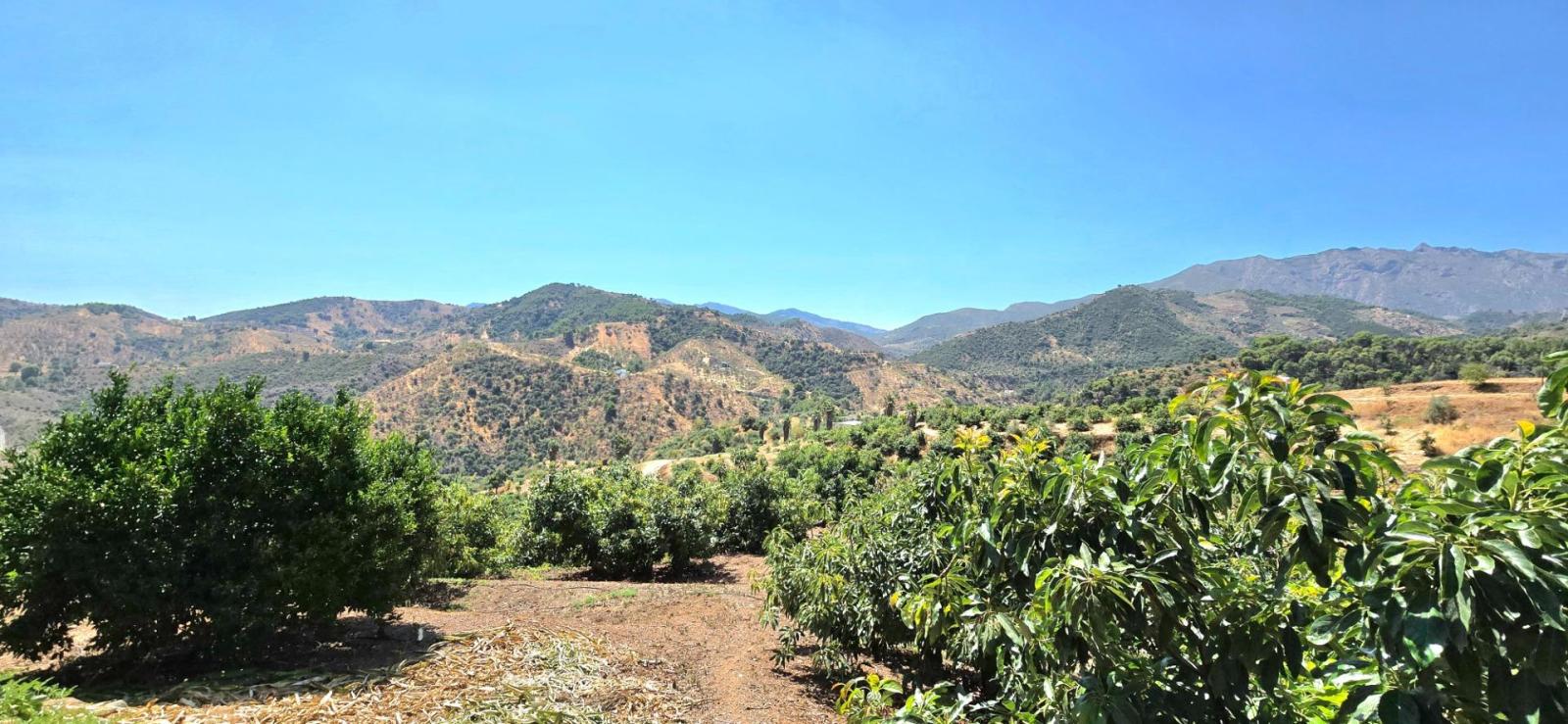 Casa Rural en Venta en Monda