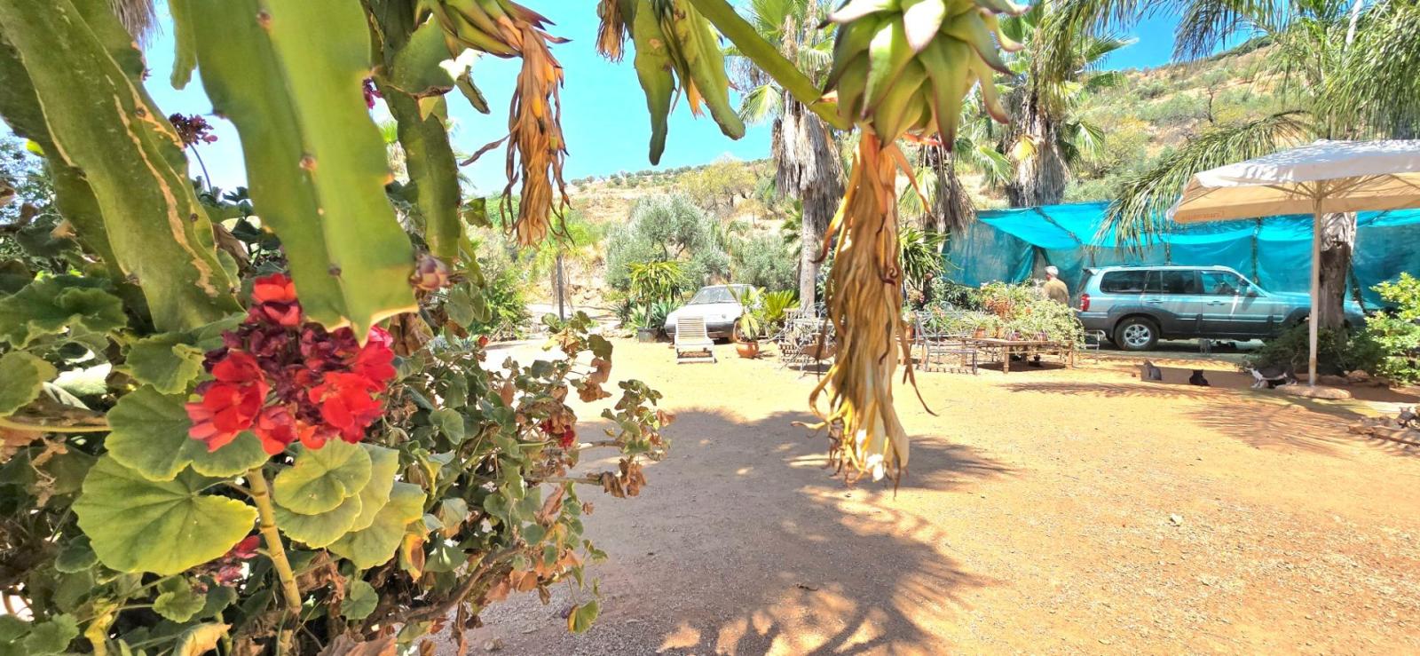 Casa Rural en Venta en Monda