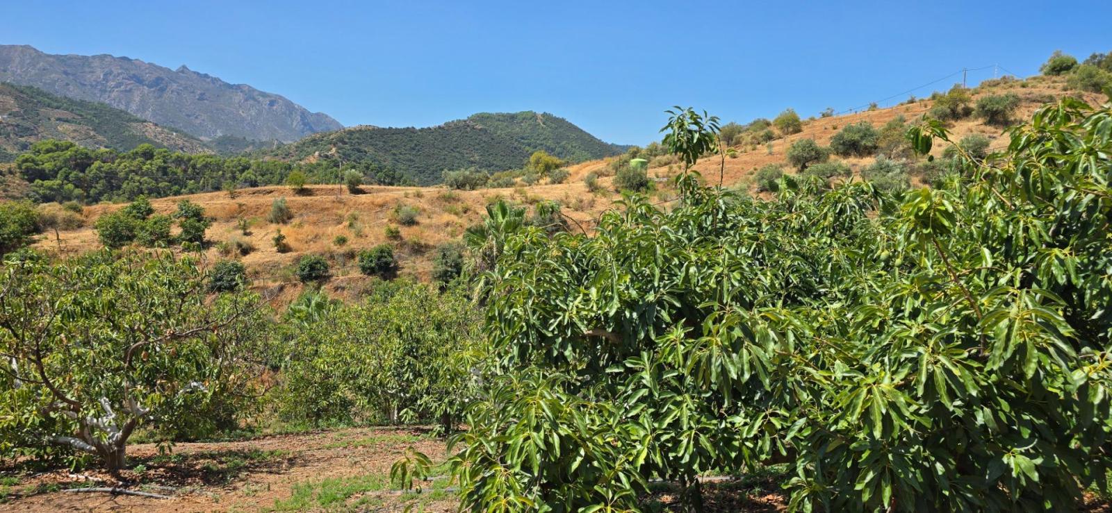 Casa Rural en Venta en Monda