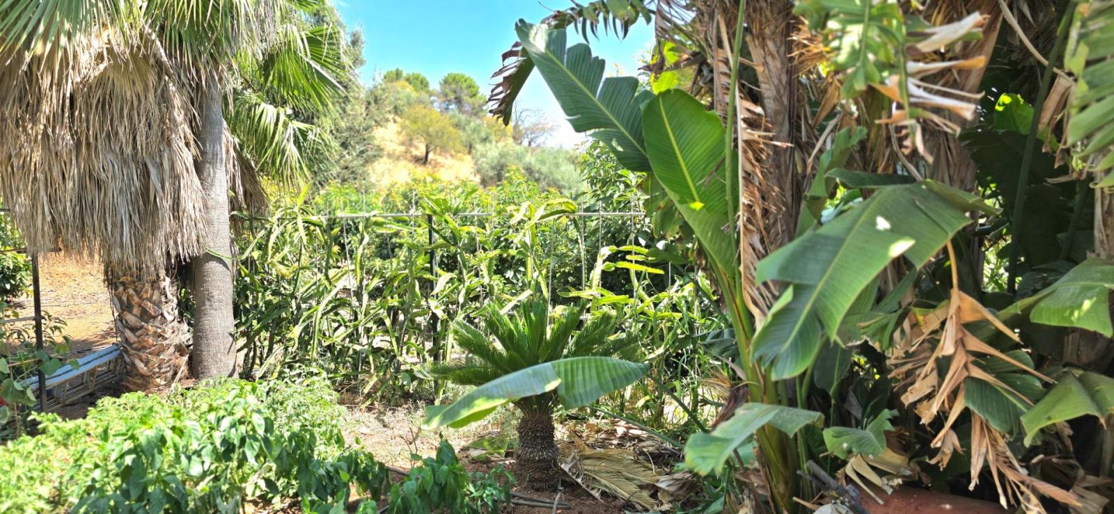 Casa Rural en Venta en Monda