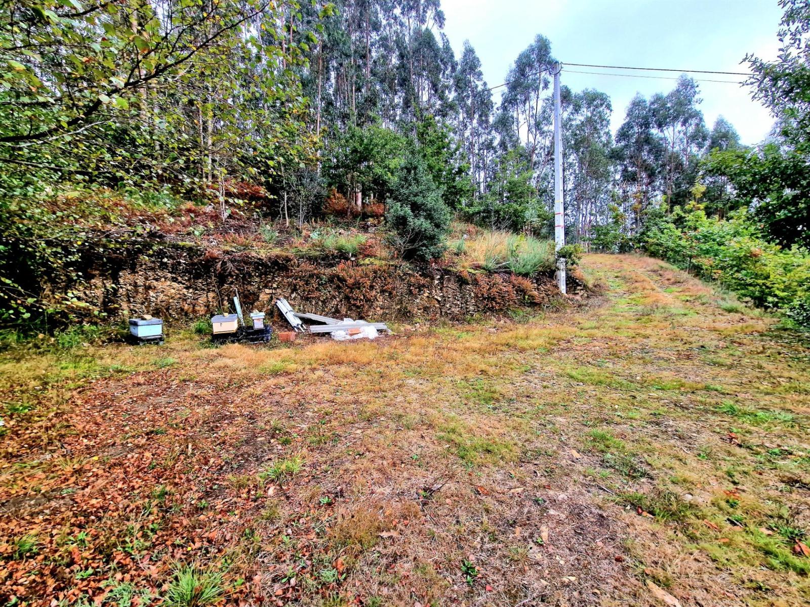 Casa en Venta en Ribadeo