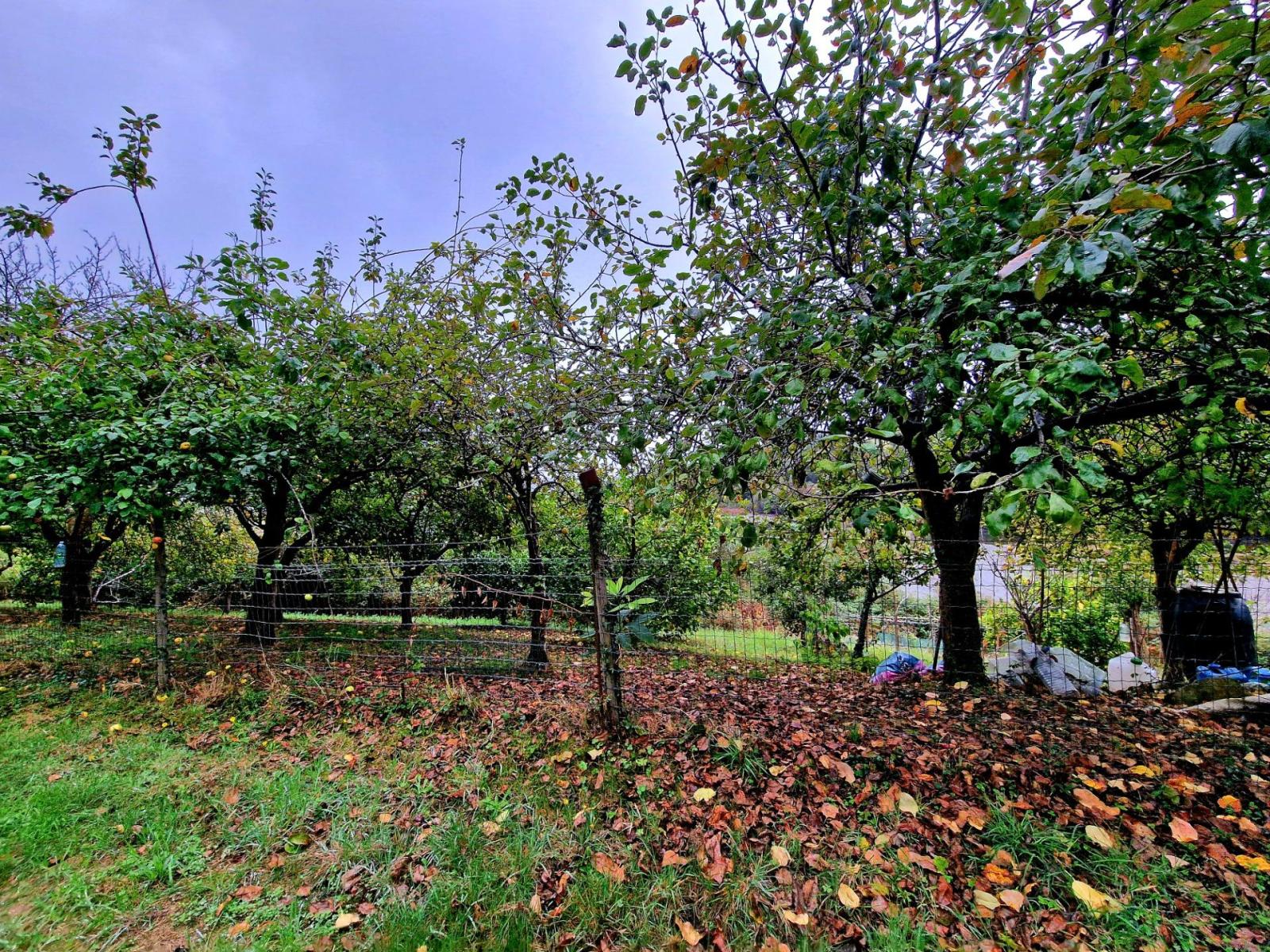 Casa en Venta en Ribadeo