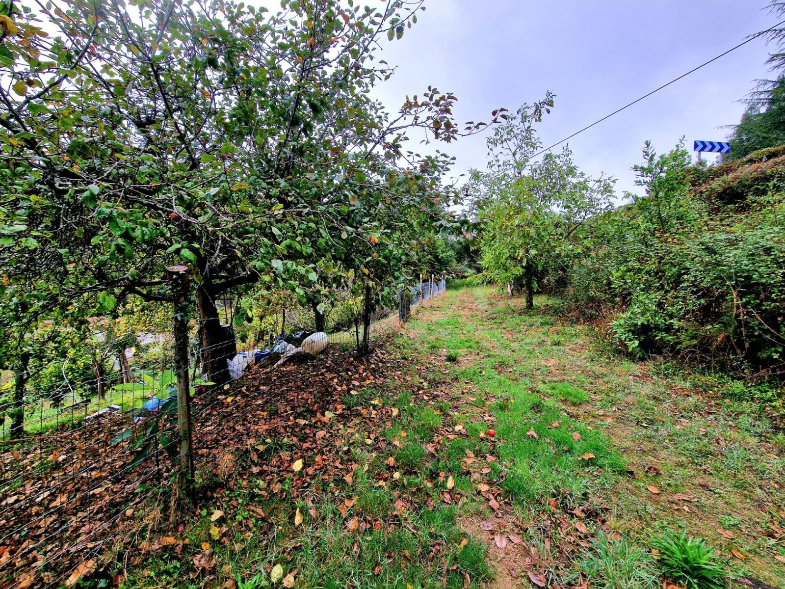 Casa en Venta en Ribadeo
