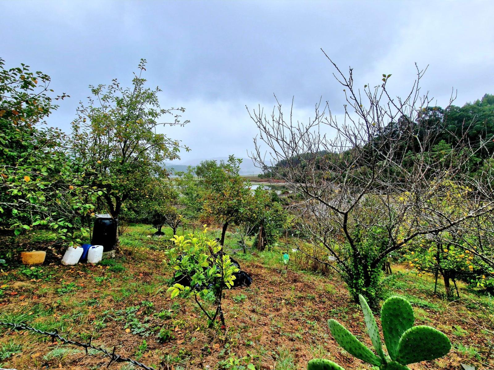 Casa en Venta en Ribadeo