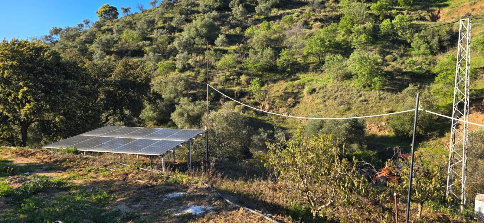 Plot for Sale in Monda