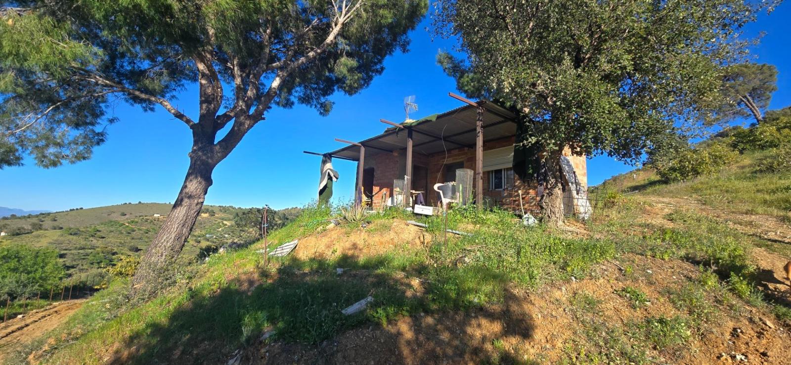 Plot for Sale in Monda