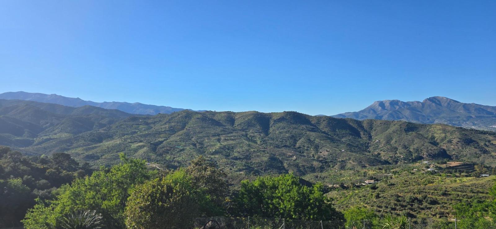 Plot for Sale in Monda