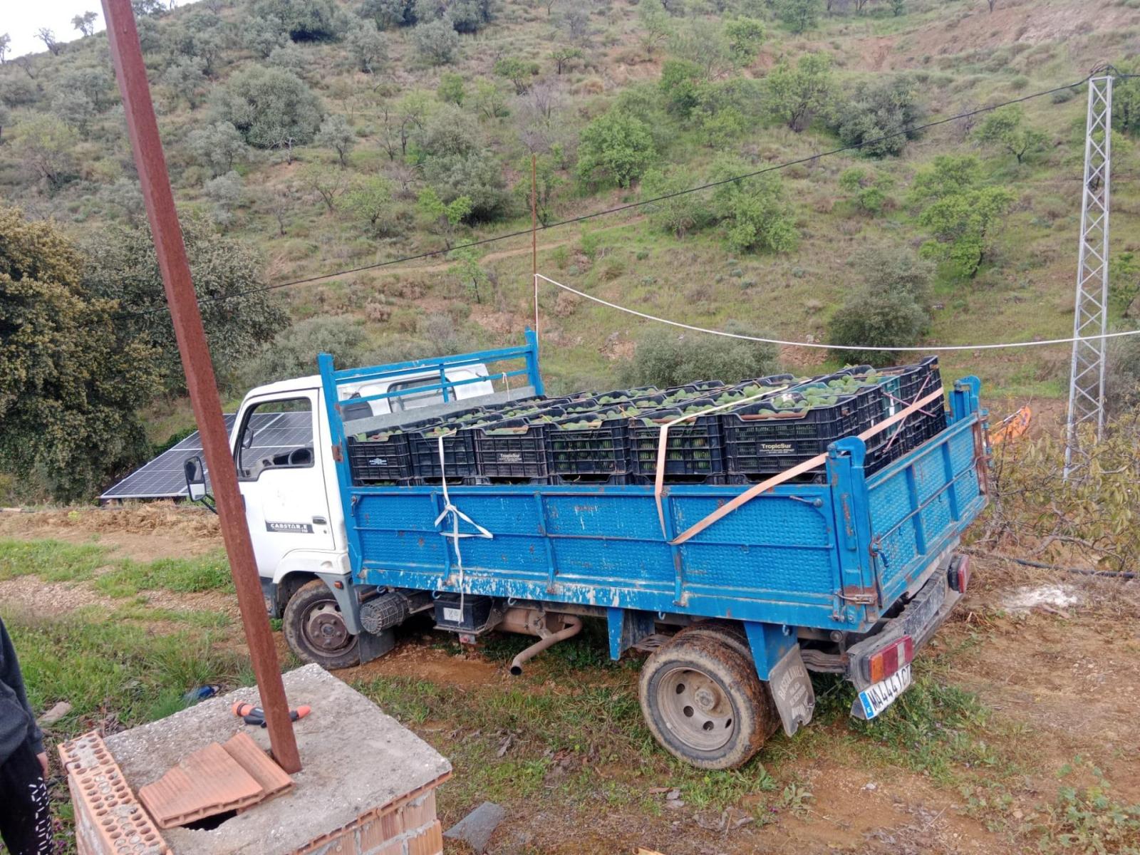 Plot for Sale in Monda