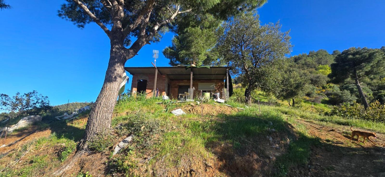 Plot for Sale in Monda