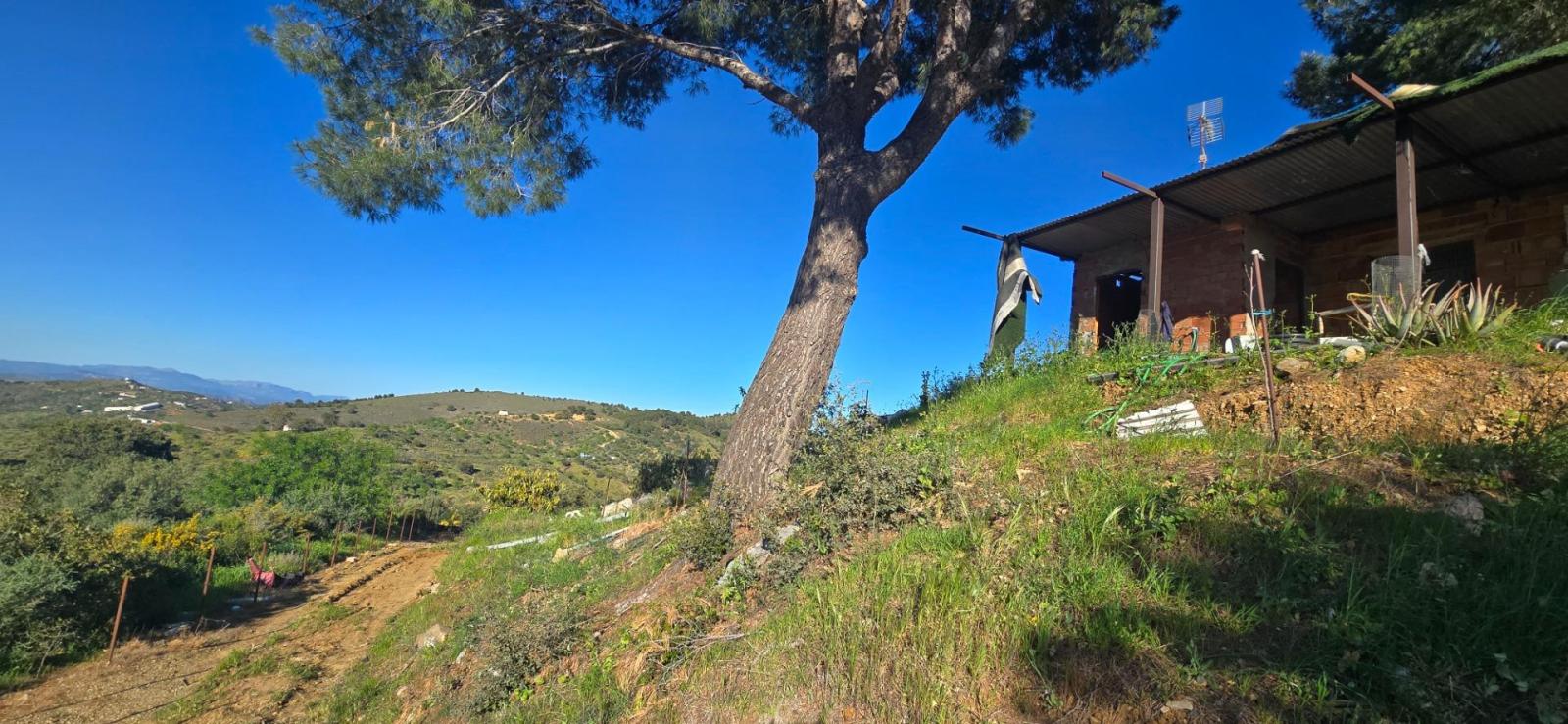 Plot for Sale in Monda