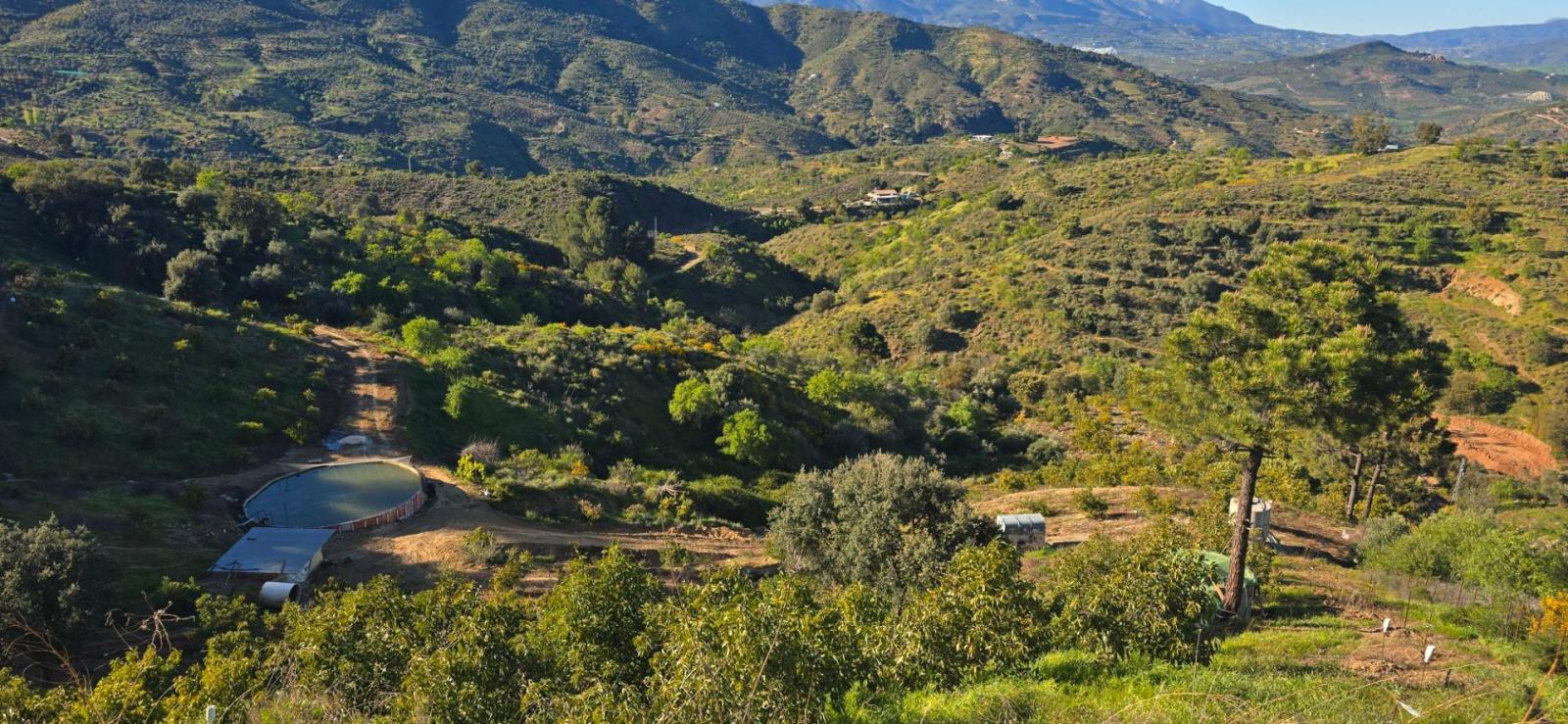 Plot for Sale in Monda