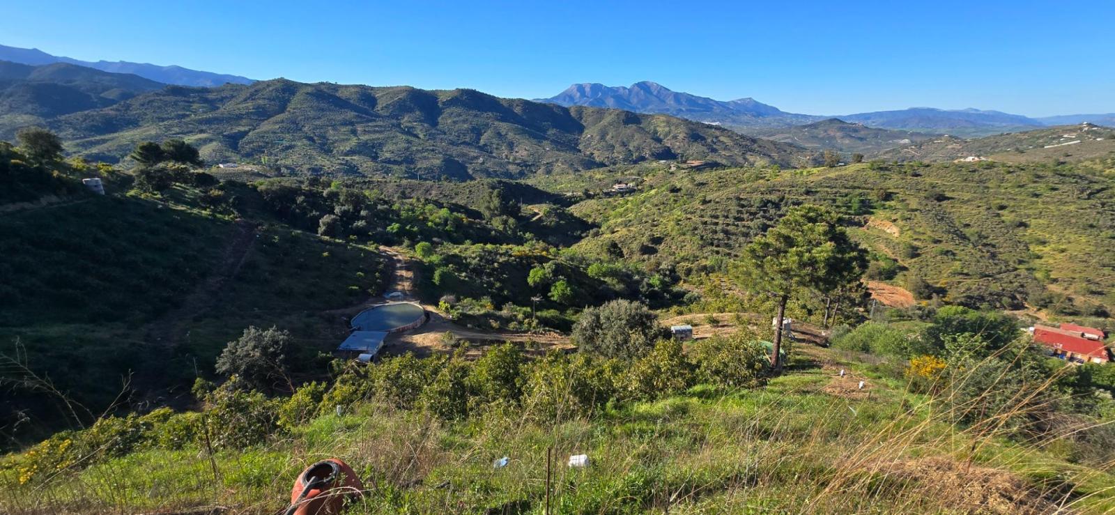 Plot for Sale in Monda