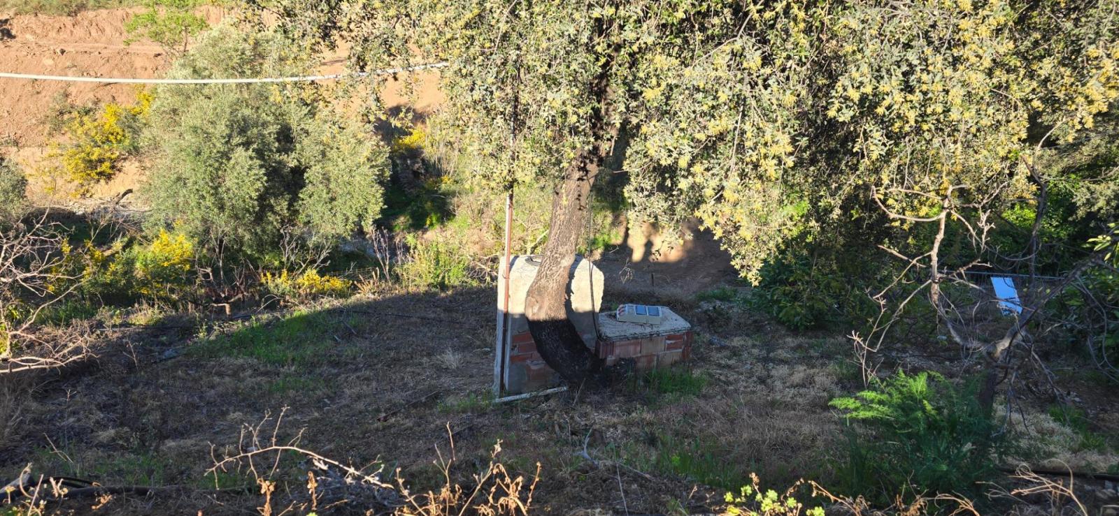 Plot for Sale in Monda