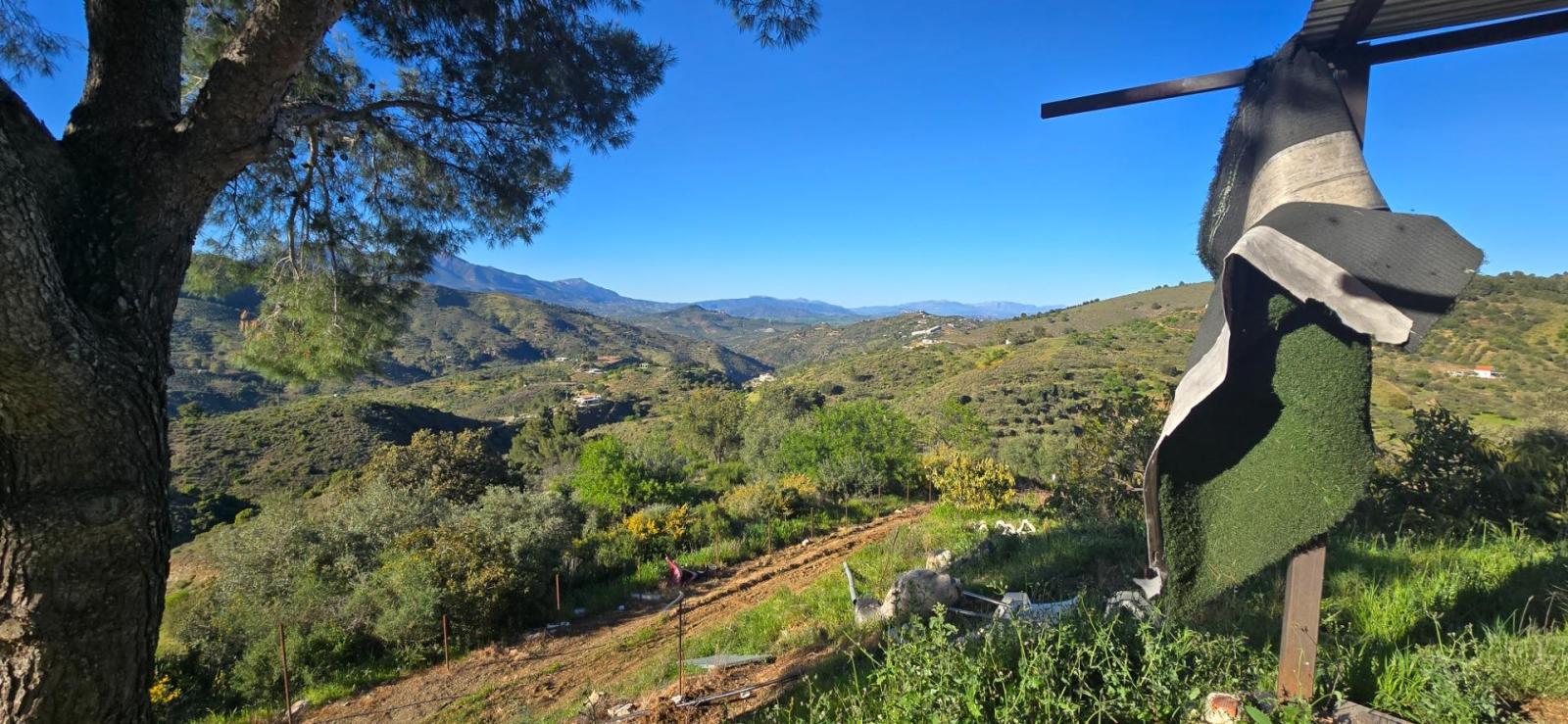 Plot for Sale in Monda