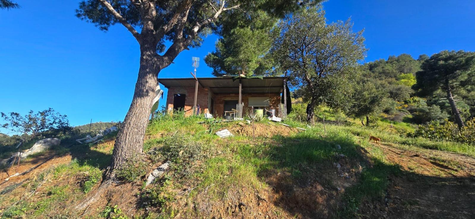 Plot for Sale in Monda